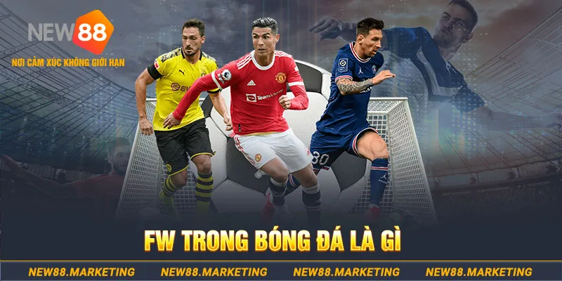 234 player Tiến Lên