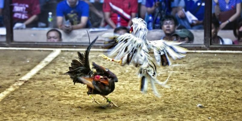 234 player ﻿đăng nhập lô đề uy tín