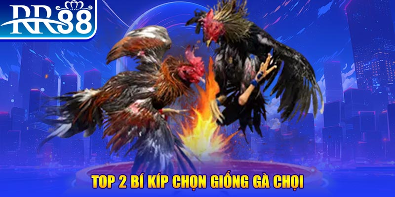 234 player bắn cá h5
