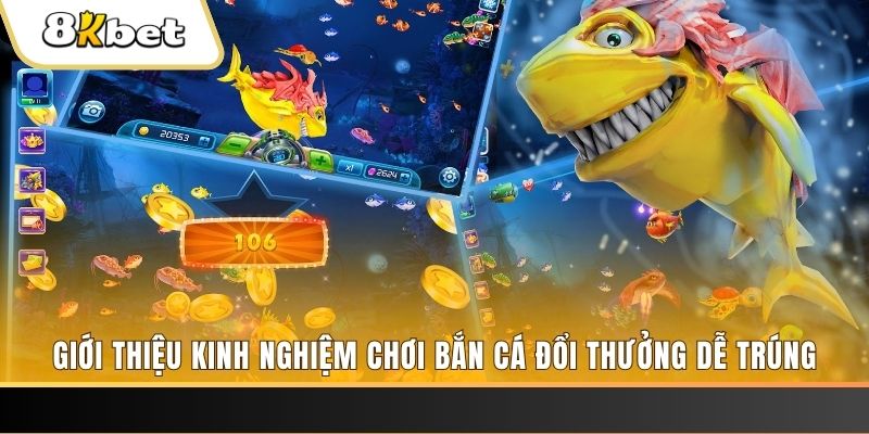 234 player xổ số miền bắc hôm