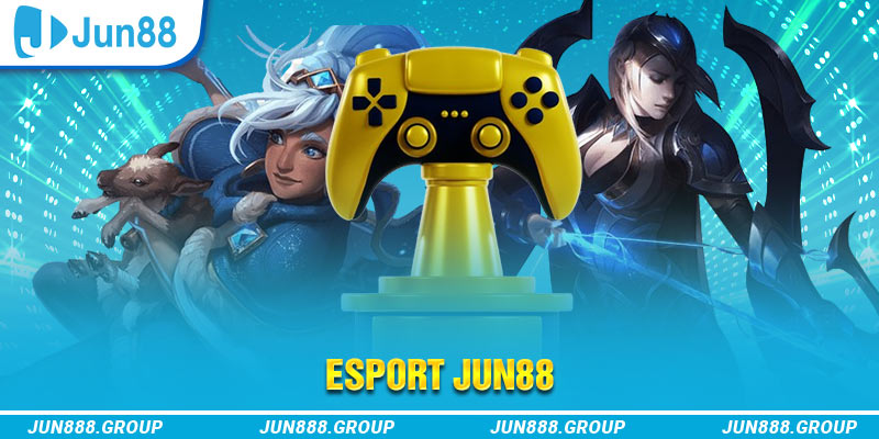234 player NE Điện Tử