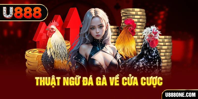 234 player da ga 88