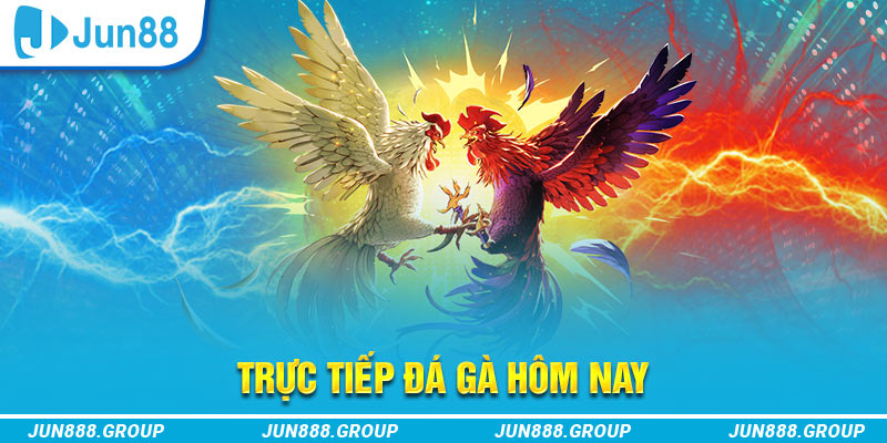 234 player trực tiếp đá gà thomo
