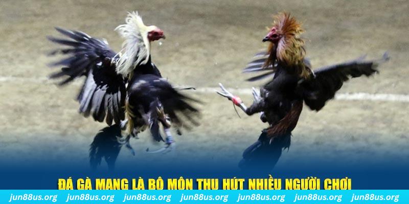 234 player xổ số long an