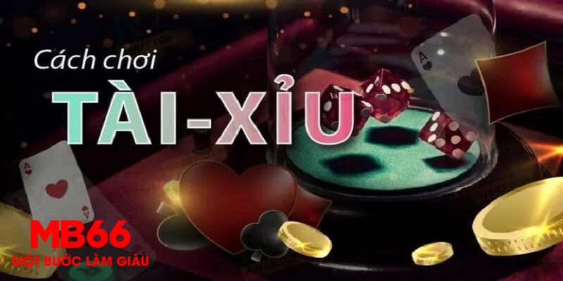 234 player 1 slot là gì