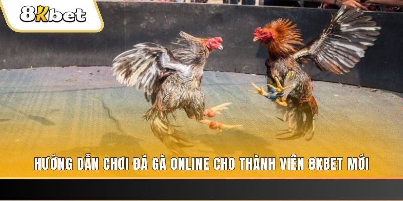 234 player nổ hũ đổi thưởng . ai