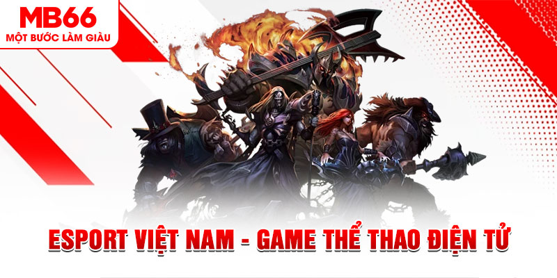 234 player PT Điện Tử