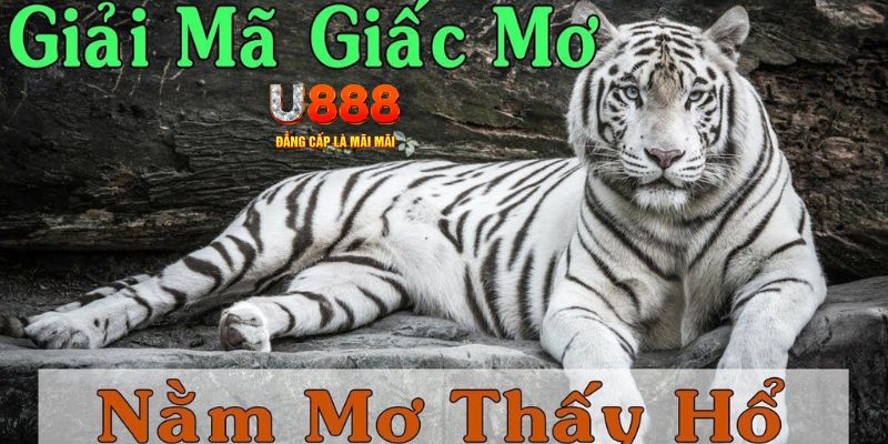 234 player Bài Poker Joker