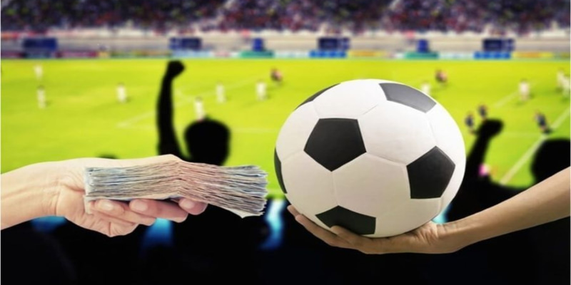 234 player xổ số đài bắc
