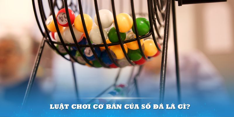 234 player Đĩa màu ace
