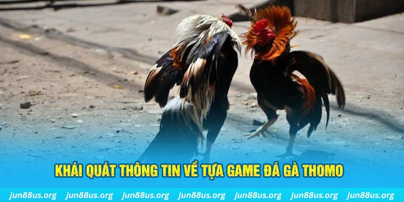 234 player bản tình ca mùa đông