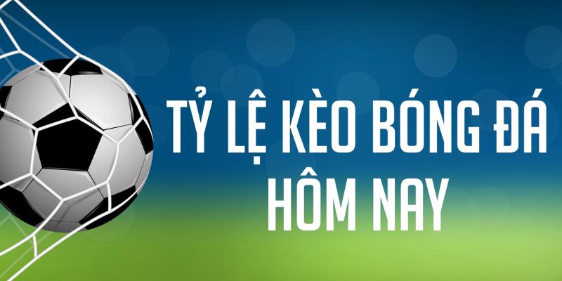 234 player ÁT CHỦ MÁY HOA QUẢ THẦN TÀI