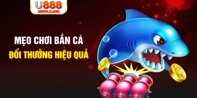 234 player xổ số thứ năm hàng tuần