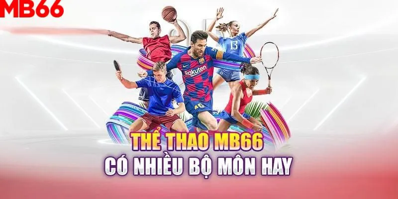 234 player slot là gì nghĩa