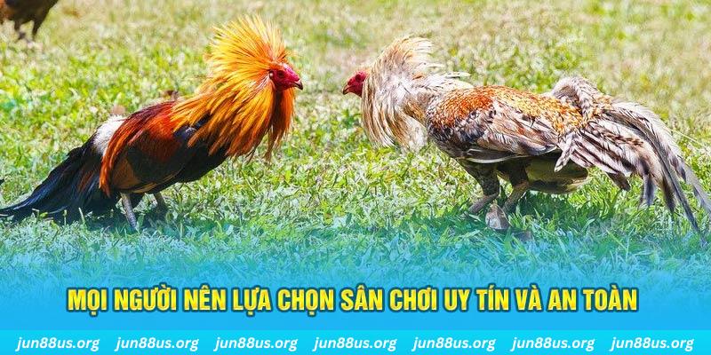 234 player Tài Xỉu