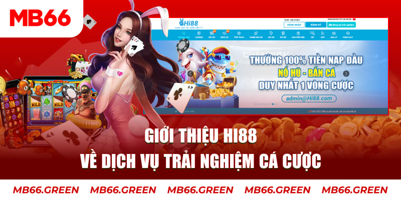 234 player máy tính casino