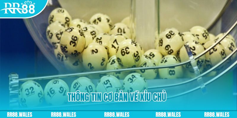234 player xổ số đà nẵng