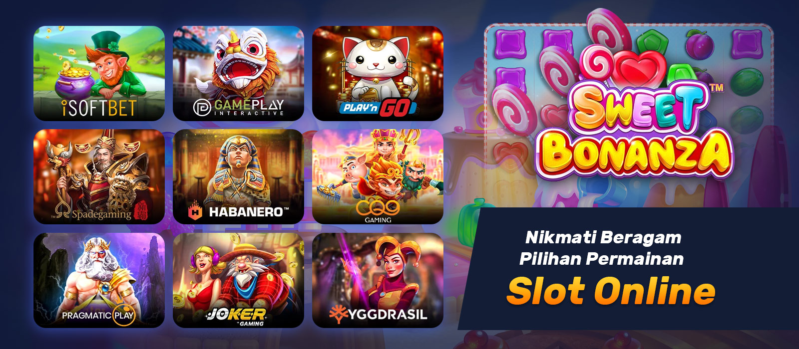 234 player IM Thể Th