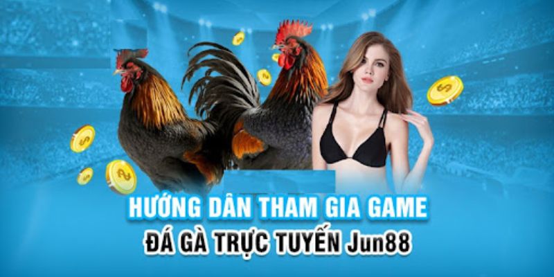 234 player slot có nghĩa là gì