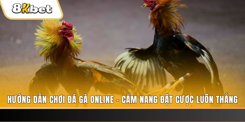 234 player tai game danh bai bigkool ve may tinh
