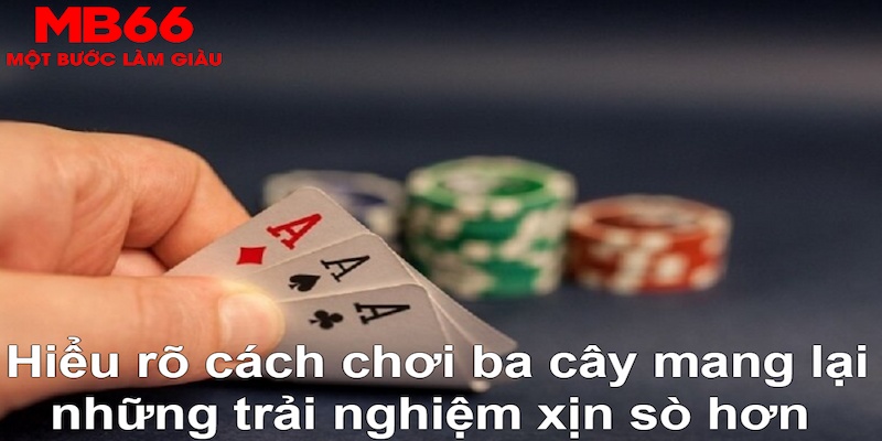 234 player DB Trực Tuyến