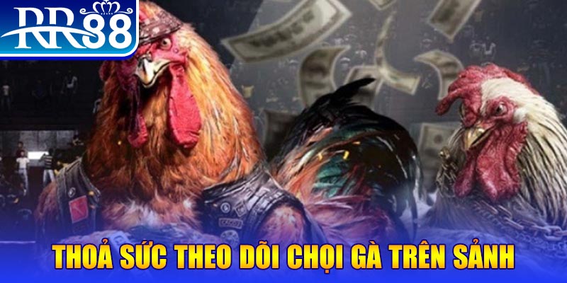 234 player casino online là gì