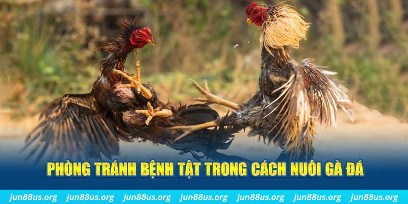 234 player natural” trong baccarat nghĩa là gì？