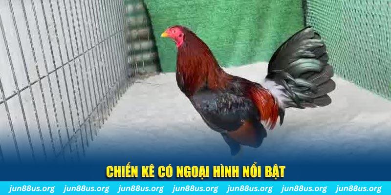 234 player nhạc slot là gì