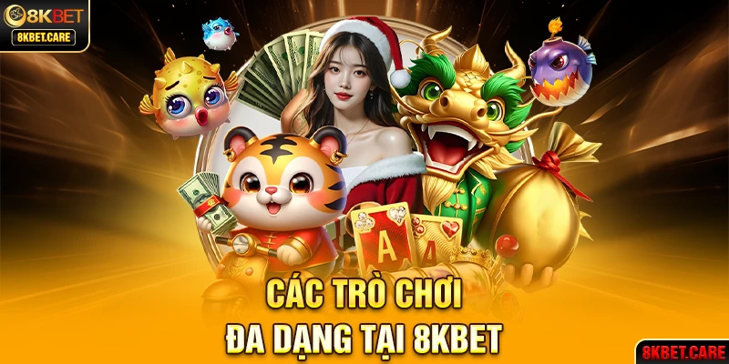 234 player casino gồm những gì